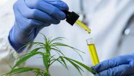 A medida que los productos de CBD continúan creciendo y expandiéndose, desvelamos algunas predicciones