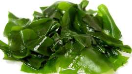 Es lo último de BASF. En concreto, Seanactiv, el nuevo ingrediente mejora, de modo confirmado, tras los estudios realizados, la apariencia del área de los ojos en tan solo una semana