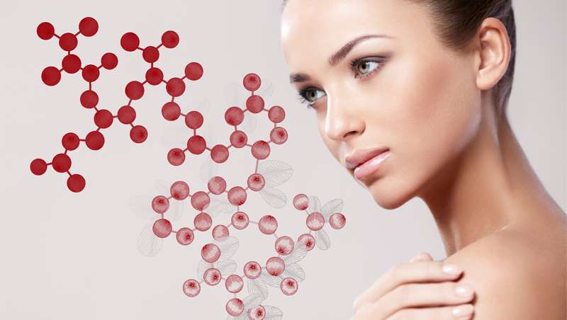 De los arndanos vienen los nuevos biopptidos que prometen el antienvejecimiento global