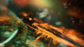 L’Âme du Bois posee una nota amaderada natural unisex que va a revolucionar el mundo de la perfumería y que se ha dado a conocer en la feria Beautyworld Middle East de Dubái