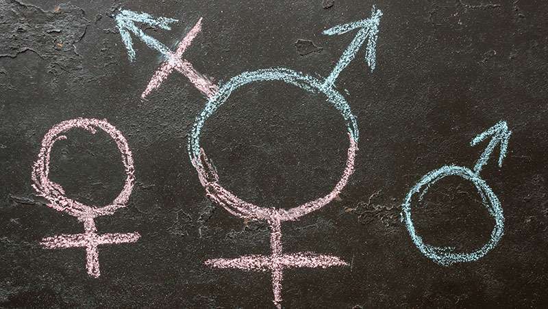 A educação transgénera chama à porta… Também em cabeleireiro