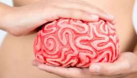 Probióticos, prebióticos y psicobióticos, reguladores recomendados para equilibrar la microbiota intestinal en el tratamiento de trastornos neurológicos