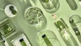 El aloe vera, la vitamina C y el retinol, son tres de los más deseados. Pero hay más 