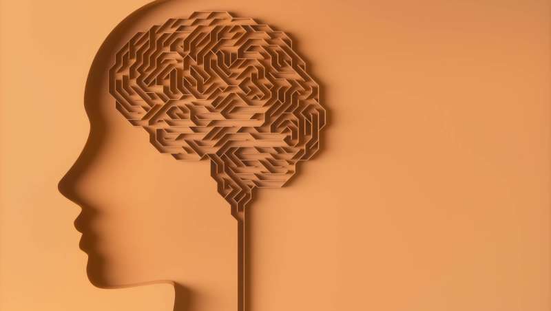 Identifica, procesa y siente  tus emociones para vivir mejor