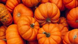 El Dr Nicholas Perricone incluye este alimento de temporada en su famosa dieta por su poder antioxidante, su alto contenido en fibra y su composición rica en betacarotenos