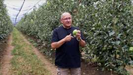 Provital, proveedor de principios activos y extractos naturales para cosméticos, presenta Pomarage, una activo  well-aging con propiedades saludables para la piel y el planeta 