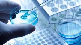 Se llama Medicina Regenerativa al conjunto de tratamientos, técnicas o terapias que emplean material biológico (células y tejidos) de la propia persona para aliviar, mejorar o curar ciertas enfermedades