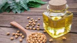 Nutriente cuyos extractos se encuentran hoy día en numerosas fórmulas cosméticas, además de en compuestos nutricionales y farmacéuticos. Con ella se atacan inestetismos y conseguimos atajar el paso del tiempo.