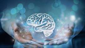 Una gran parte de de los trastornos relacionados con la salud mental podría evitarse con unos correctos hábitos de vida y poniendo el foco en el equilibrio de la microbiota