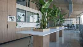 Diseñado por la interiorista Montse Morales, el proyecto traslada la naturaleza orgánica del negocio a sus 1.000 m2 con vistas panorámicas a Barcelona