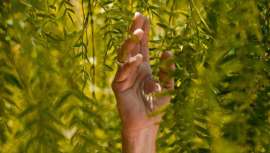 Iniciativa innovadora que pone a disposición del consumidor opciones más sostenibles, y de las empresas, herramientas para conseguirlo