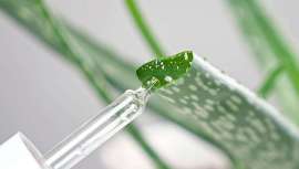 En pleno furor por estos activos, desglosamos ácidos como el salicílico, mandélico o láctico, presentes en la cosmética, para asegurar que cumplen su objetivo: preservar una piel joven, luminosa y perfeccionada, sin irritarla