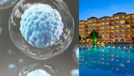 Próximo encuentro de alto nivel donde impulsar y conocer lo último en terapias génicas y terapias celulares