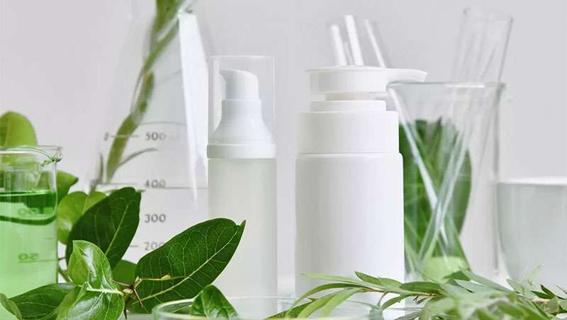 Ingredientes, formulación y procesos sostenibles en la industria cosmética, Jornada SEQC