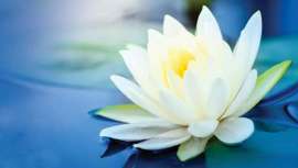 La belleza limpia tiene una cita con Natural & Beauty Spa los días 3 y 4 de abril, en Londres. Reunión de expertos y líderes de la industria