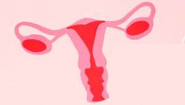 El 8 de mayo se conmemora el Día Mundial del Cáncer de Ovario, una fecha establecida por organizaciones de pacientes con el propósito de concienciar sobre el mismo, un cáncer femenino de difícil diagnóstico cuya tasa de supervivencia es la más baja