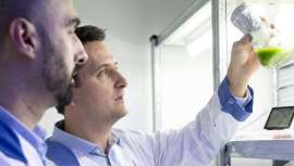 Vytrus Biotech, compañía especializada en ingredientes activos derivados de células madre vegetales para la industria cosmética, ha cerrado 2021 con un aumento de más de un 100% en su beneficio neto respecto a 2020