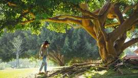 Estos son los beneficios que tiene conectar con la naturaleza. ¡Viajamos a Galicia!