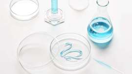 El grupo, que posee, entre otras, la marca de cosmética profesional Germaine de Capuccini, incursiona en el mercado norteamericano con vistas al largo plazo 