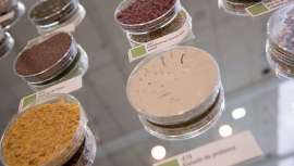 La zona Premium Substances de la próxima edición de Nutraceuticals Europe Summit & Expo 2022 (15-16 junio) mostrará los últimos desarrollos de los productos nutracéuticos y sus aplicaciones para mejorar nuestra calidad de vida