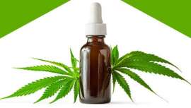 Cannabisan es una marca española pionera en la elaboración de cosméticos a base de CBD, uno de los ingredientes de tendencia en el sector beauty