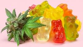 El uso de fórmulas tópicas que contienen cannabidiol (CBD) se ha vuelto más común en los spas por sus múltiples beneficios para la piel y el cuerpo