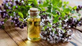 De uso milenario, griegos y romanos la hicieron suya en el tratamiento medicinal, esta hierba culinaria es también el origen de un aceite esencial multifuncional. ¡Te lo contamos! 