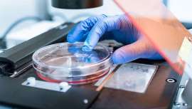 Objetivo: la formulación posterior de cosméticos correctivos