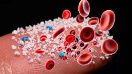 Junto al colesterol, los triglicéridos y la vitamina D, ésta será una de las analíticas que sin duda se pondrán de moda no tardando demasiado: la que mide el nivel de plástico en sangre