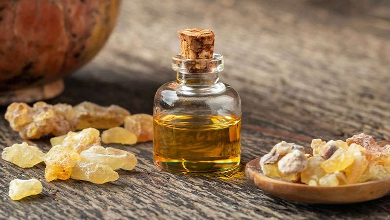 Aceite esencial de incienso, el oro de Oriente