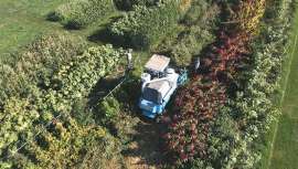 La plantación, que se ha llevado a cabo en el marco del 100º aniversario de Dr. Schär, se está cosechando en la actualidad y las semillas se donarán al banco agrícola del Centro de Investigación de Laimburg para garantizar su futura preservación