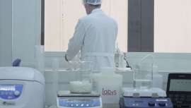 Todo lo que necesitas en cosmética natural y sostenible a tu alcance, con LabfS