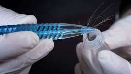 Tequial presenta test BHBR, Biological Hair Bulb Research, análisis que detecta el estado general del organismo