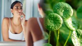 Taladvance™ es un extracto de hojas malgaches de Centella asiatica que regula la cronobiología de la piel y tiene efectos significativos sobre la luminosidad y flexibilidad de la misma, gracias a una acción durante el día y la noche