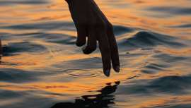 Además de servir como antibiótico natural, las algas marinas Klamath pueden ayudarnos a mejorar la calidad de la piel. Los expertos en I+D+i de 180 The Concept te desvelan los beneficios de este superalimento y cómo incluirlo en el día a día