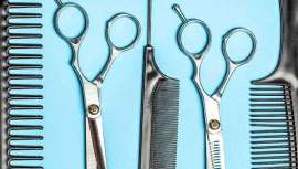 Ese que tuvo el impacto más relevante en tu profesión y en tu vida 