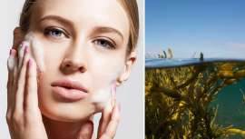 Extraído de un alga autoregeneradora, procedente de Bretaña, Francia, el nuevo ingrediente activo de Agrimer promete un efecto antienvejecimiento similar a una oleada gracias a su capacidad para regenerar y fortalecer, efecto lipofilling