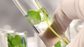 La marca renueva su apoyo al Pacto Mundial de Naciones Unidas y expresa su compromiso de promover los diez principios de los derechos humanos, las normas laborales internacionales, la protección del medio ambiente y la lucha contra la corrupción 