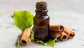 Ya citado en la Biblia, más valioso que el propio oro, agente embalsamador de los egipcios, el aceite esencial de canela destaca por su preciado, picante y goloso aroma, pero no solo eso, ya que se le considera un aceite medicinal 