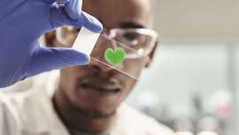 La compañía invierte en una empresa de biotecnología para aumentar el desarrollo de ingredientes naturales en sus fórmulas. La nueva inversión promueve las ciencias verdes para la creación de ingredientes alternativos altamente innovadores