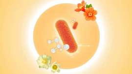 Vytrus, el proveedor de activos biotecnológicos, presenta una nueva estrategia vegetal para ayudar a la foto de la microbiota de la piel a protegerse y combatir el fotoenvejecimiento de la piel en in-cosmetics Global