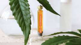 Um novo tratamento de Dermadrop para peles envelhecidas celularmente. Suaviza a pele dos teus pacientes com uma nutrição intensiva graças a Cannaboost TDA 