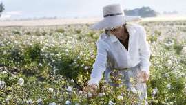 El fondo LOréal para la regeneración de la naturaleza acelera sus esfuerzos de conservación de la biodiversidad con tres nuevas inversiones 