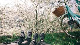 Psicopartner te cuenta todo lo que tienes que saber sobre los efectos psicológicos que acarrea la primavera, tales como la astenia primaveral o las alergias de la piel 