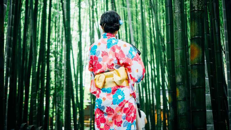 Zen Bamboo, o tratamento relaxante do Caroli Health Club