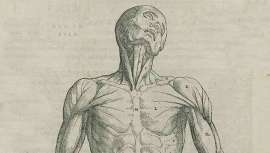 La Sociedad Española de Cirugía Plástica, Reparadora y Estética organiza dicho curso el próximo 19 de mayo en Santiago de Compostela