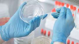 A pesar de ser un país pionero en el cruelty free, hace ahora 25 años, Reino Unido da un paso atrás al permitir el testado en animales en algunos contextos