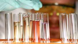 El distribuidor global de ingredientes y productos químicos especializados ha firmado un acuerdo de distribución exclusiva ampliado con Angus Chemical Company que cubre el mercado de belleza y cuidado personal en los Estados Unidos y Canadá