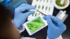 La compañía innovadora en biofabricación avanzada libre de células recibe inversión en un acuerdo exclusivo de la industria