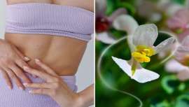 La naturaleza es fuente de inspiración de Vytrus Biotech para descubrir nuevos conceptos cosméticos, y la biotecnología nos mejora para crear activos para el cuidado de la piel y el cabello basados en la innovación y la sostenibilidad